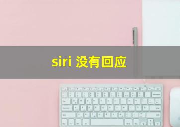 siri 没有回应